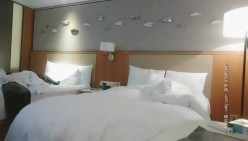 预览图5