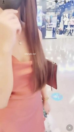预览图13