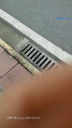 预览图1