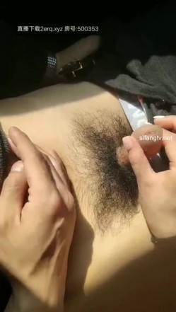 预览图14