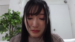 预览图4