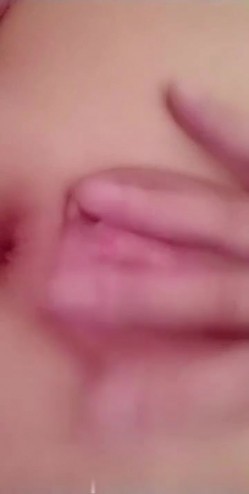 预览图4