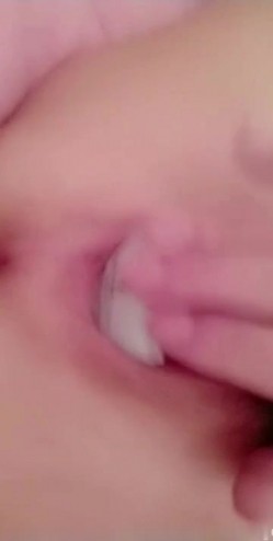 预览图8
