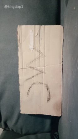 预览图5
