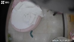 预览图16