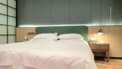 预览图5