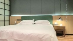 预览图6
