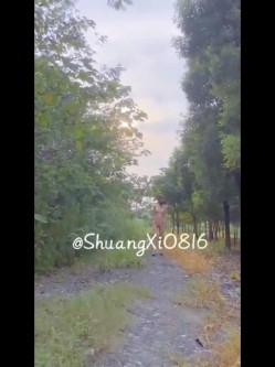 预览图15