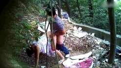 预览图1