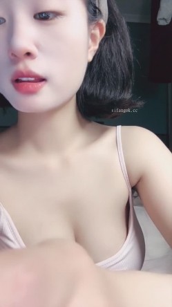 预览图4