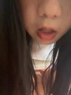 预览图4