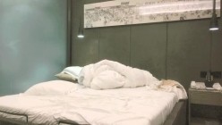 预览图14