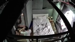 预览图4