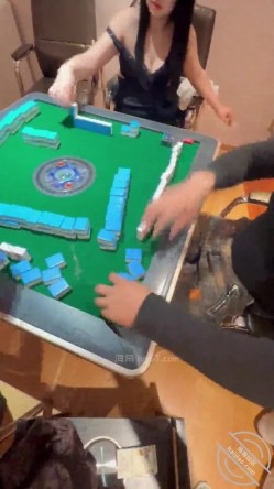 预览图4