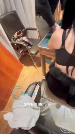 预览图5