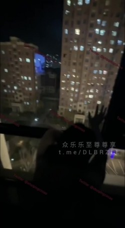 预览图13