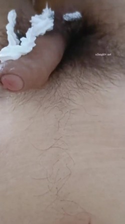 预览图15