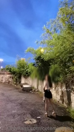 预览图4