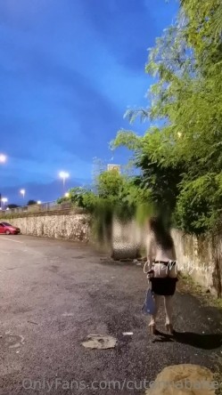 预览图6