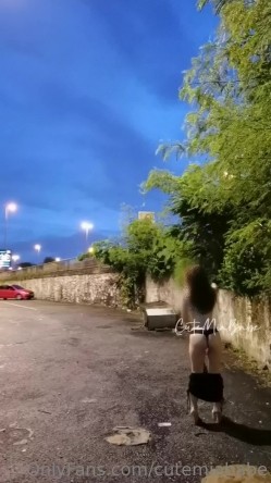 预览图8