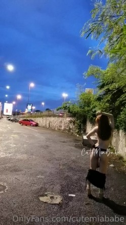 预览图12