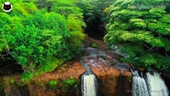 预览图7