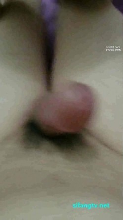 预览图12