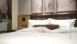预览图8
