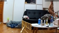 预览图5