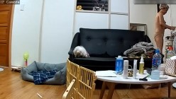 预览图6