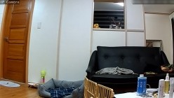 预览图11