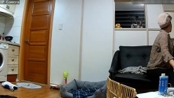 预览图12