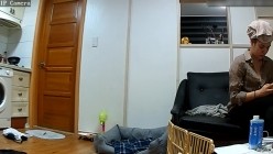 预览图14