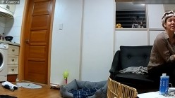预览图15