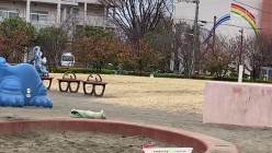 预览图1