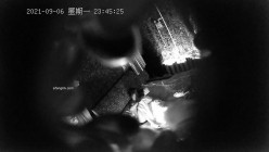 预览图4