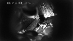 预览图5