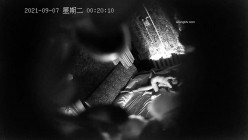 预览图9