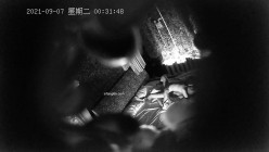 预览图12