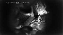 预览图13