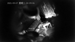 预览图14