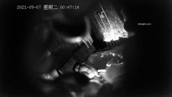 预览图16