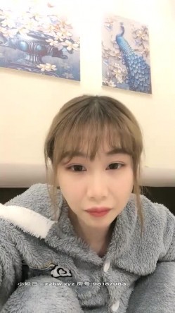预览图1