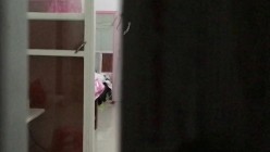 预览图4