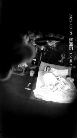 预览图8