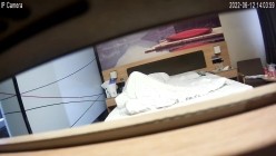 预览图8