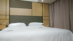 预览图5