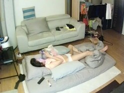 预览图2
