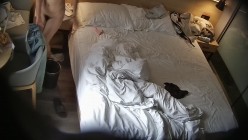 预览图10
