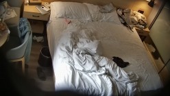预览图11